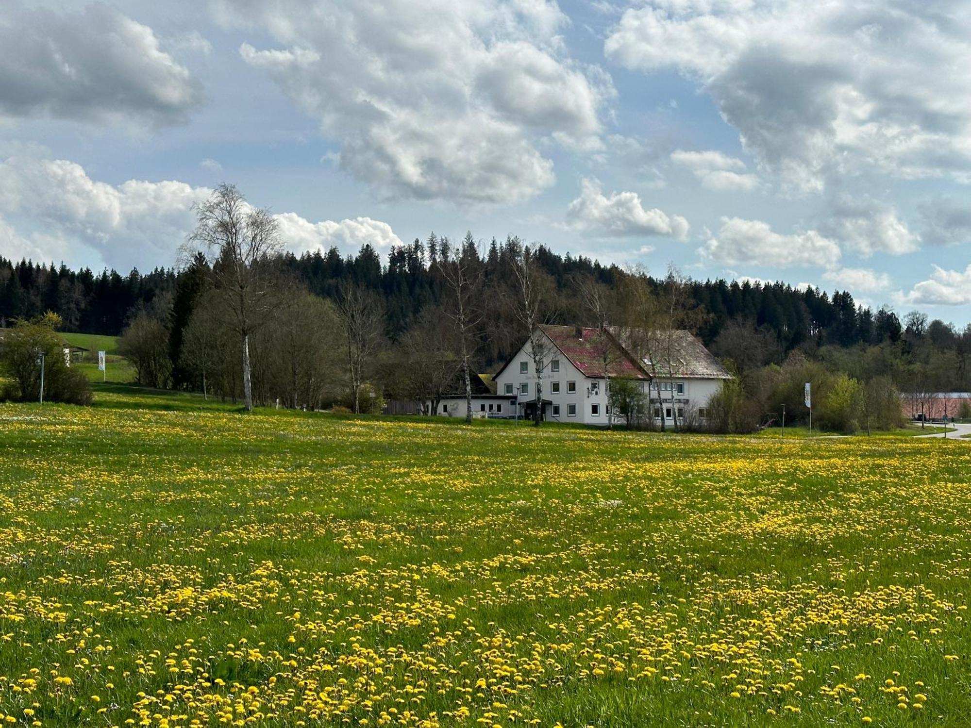 Hotel Zum Bayrischen Wirt Maierhöfen Esterno foto